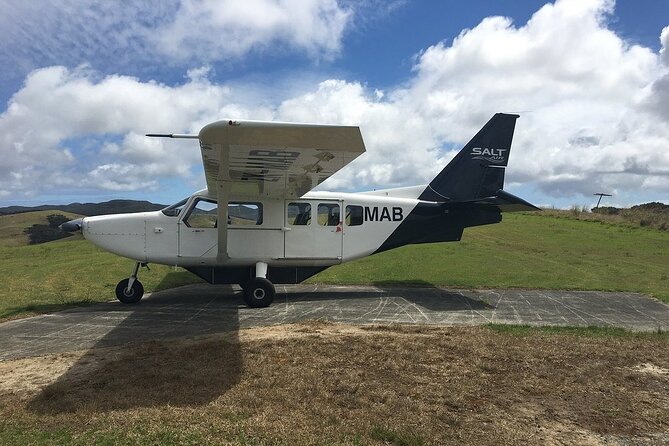 Cape Reinga Half-Day Tour Including Scenic Flight - Key Points