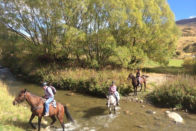 Cardrona Gold Discovery Trail Horse Trek(Beginner/Child Friendly) - Key Points