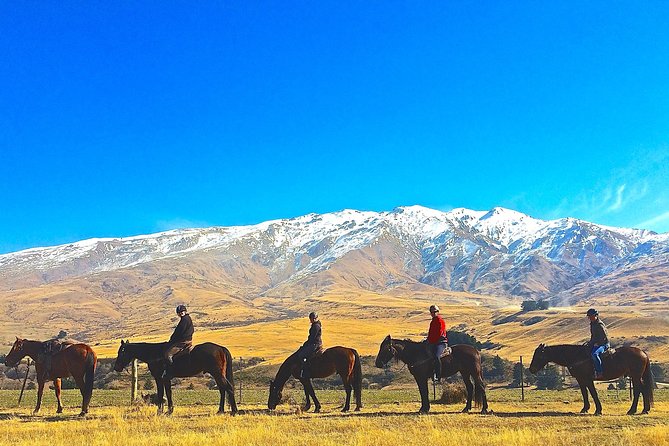 Cardrona High Country Pub Trail Horse Riding Trek (Adventurous) - Key Points