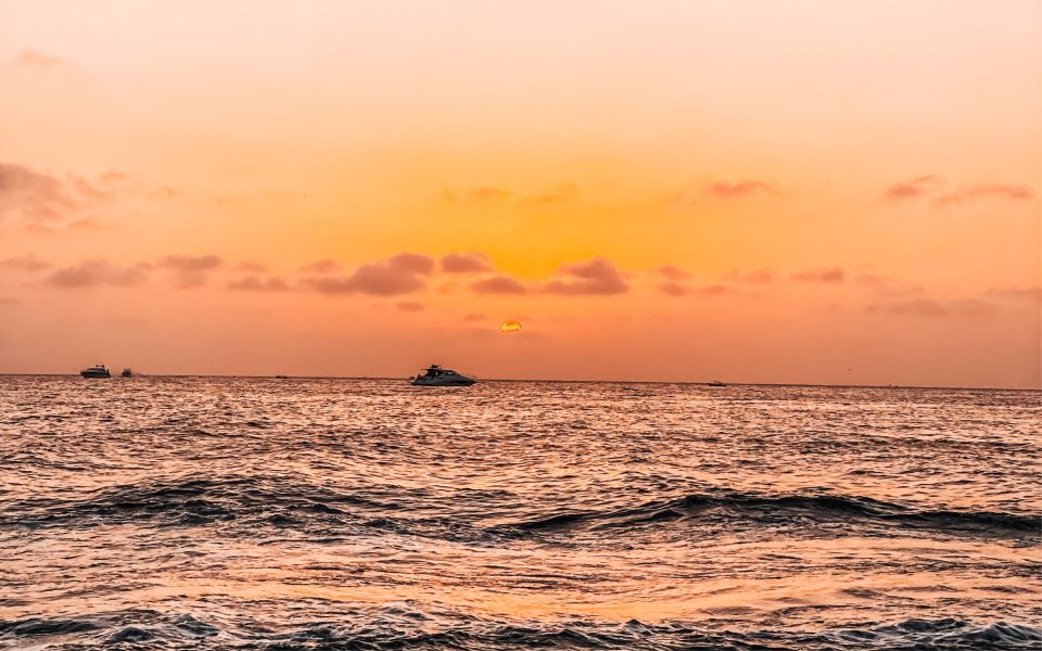 Cartagena: Baru Sunset Beach With Bioluminescent Plankton - Key Points