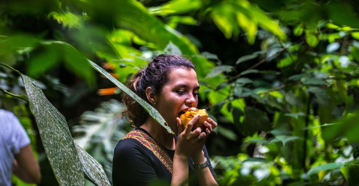 Cartagena: Full-Day Coffee & Cocoa Farm Tour - Key Points