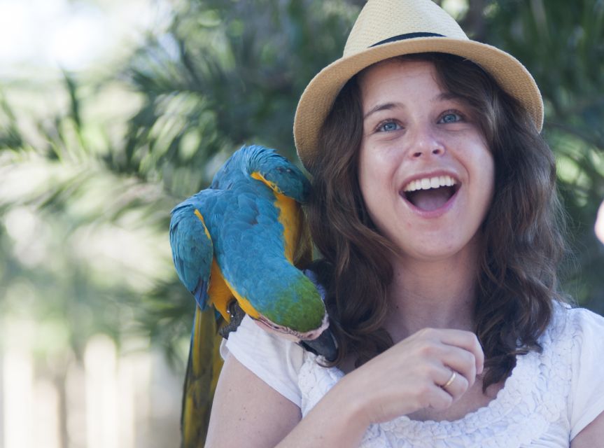 Cartagena: National Aviary of Colombia Entrance Tickets - Key Points