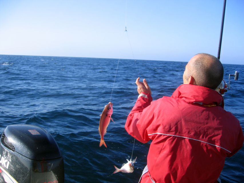 Cascais Deep-Sea Fishing Trip - Key Points