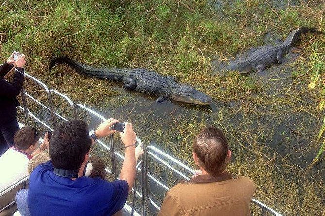 Central Florida Everglades Airboat Tour From Orlando - Key Points