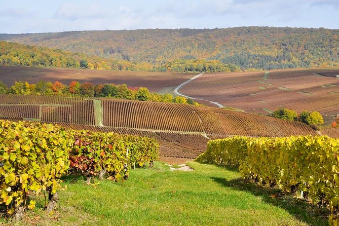 Champagne Area Small-Group Tour Including a Top Champagne House & Family Winery - Good To Know