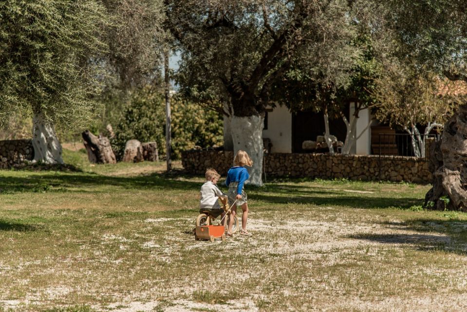 Chania Luxury Jeep Safaris: Wine & Olive Oil Tasting Secrets - Key Points
