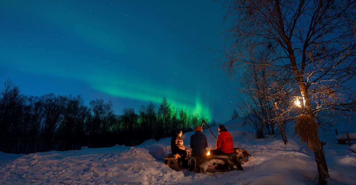 Chasing the Dancing Aurora in Our Winter Camp in Harstad