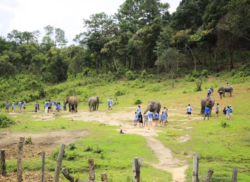 Chiang Mai Elephant Recovery Center, Doi Inthanon and Hiking - Key Points