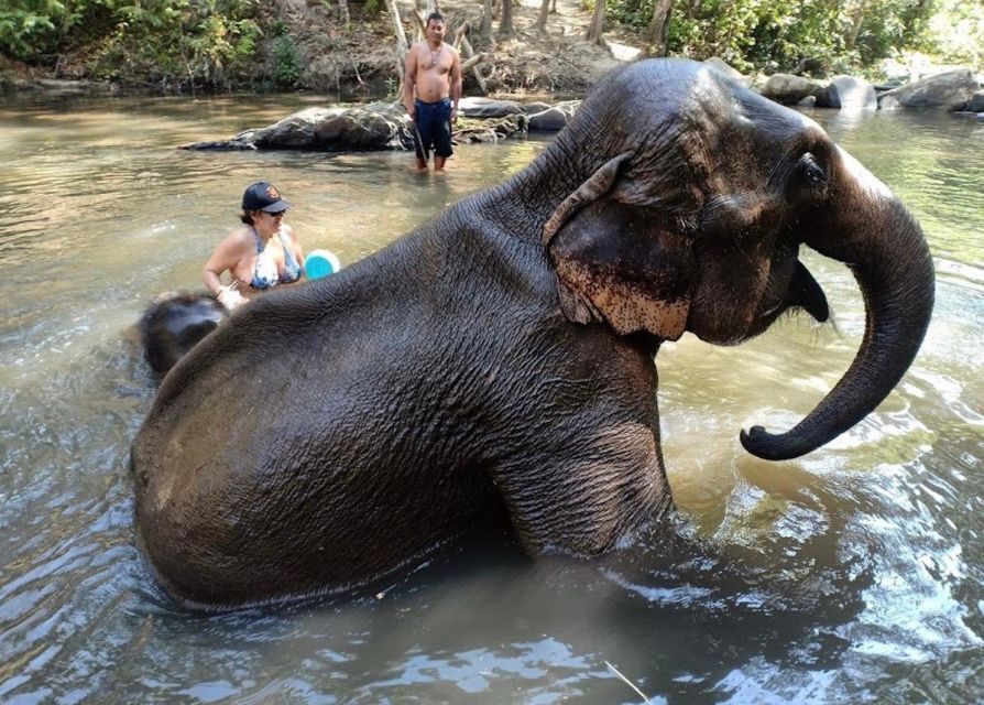 Chiang Mai : Ethical Elephant Sanctuary and ATV Adventure - Key Points