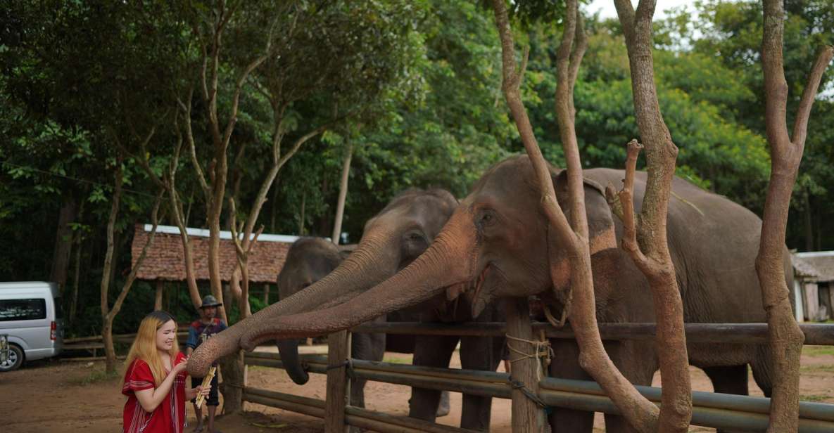 Chiang Mai: National Elephant Care, Rafting, & Ziplines Trip - Key Points