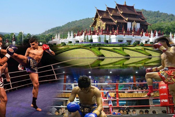 Chiang Mai Thapae Muay Thai Boxing Stadium Ticket - Ticket Pricing and Options