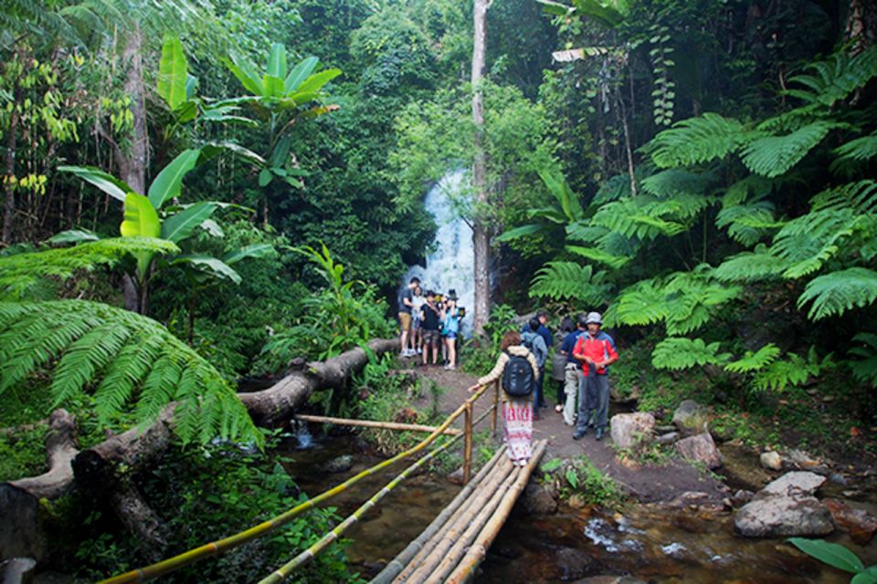 ChiangMai: Doi Inthanon National Park&mini-trek to Waterfall - Key Points