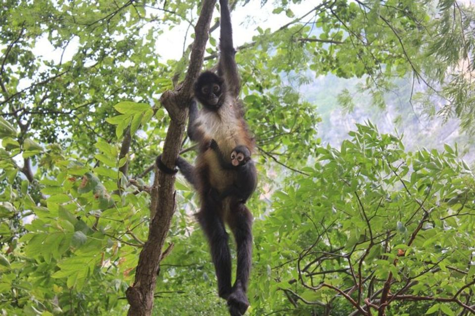 Chiapas: Sumidero Canyon & Chiapa De Corzo - Key Points