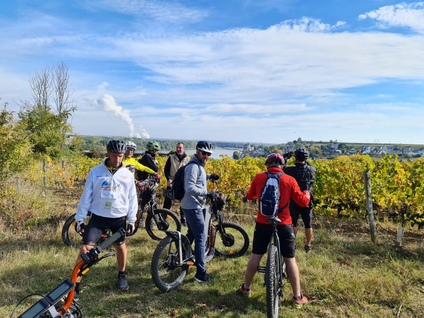 Chinon: Bicycle Tour of Saumur Wineries With Picnic Lunch - Key Points