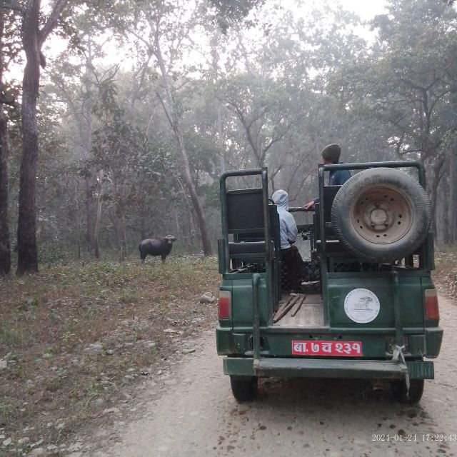 CHITWAN NATIONAL PARK FULL DAY PRIVATE JEEP SAFARI FROM MADI - Key Points