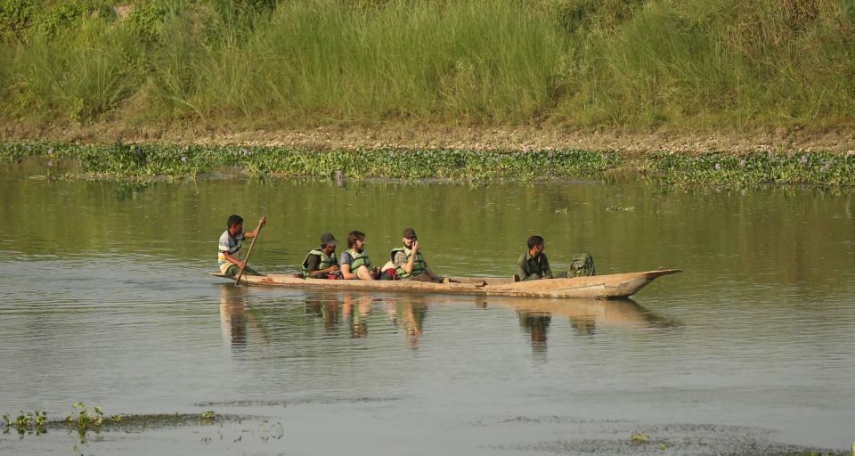 Chitwan Tower Night Stay, the Best Chitwan Safari Experience - Key Points
