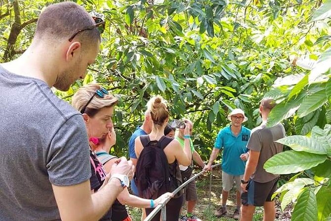 Chocolate and Coffee Tour Farm Don Jorge - Key Points