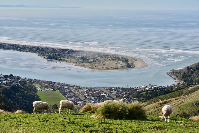 Christchurch Scenic Tour (1 Day Tour) - Key Points