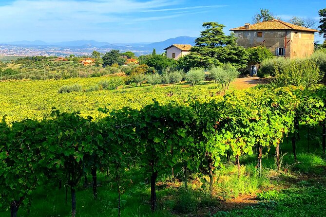 Classic Half-Day Wine Tour in Frascati With Lunch - Good To Know