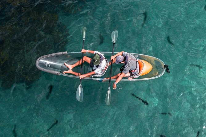 Clearyak Hire at Goat Island Marine Reserve