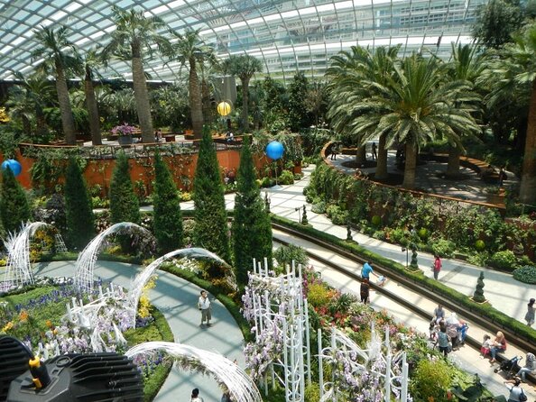 Cloud Forest + Supertree Observatory - Key Points