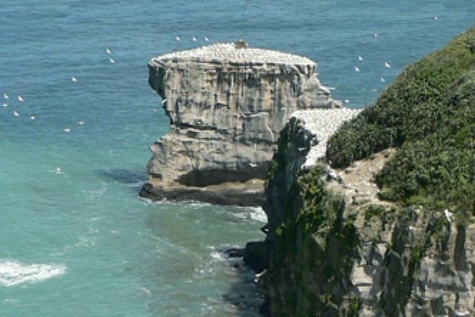 Coast to Coast Auckland Wine Tasting Day Tour - Key Points