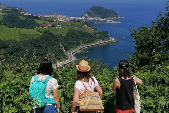 Coastal Winery Camino Trail Walking Tour From San Sebastian - Good To Know