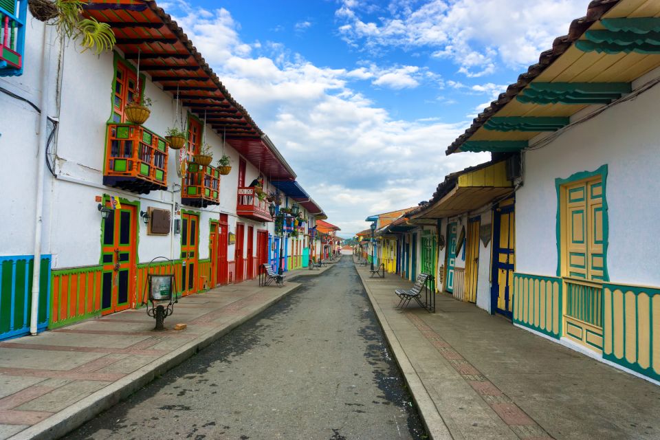Cocora Valley: Salento & Private Horseback Riding Tour - Key Points