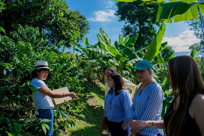 Coffee Tour. - Key Points