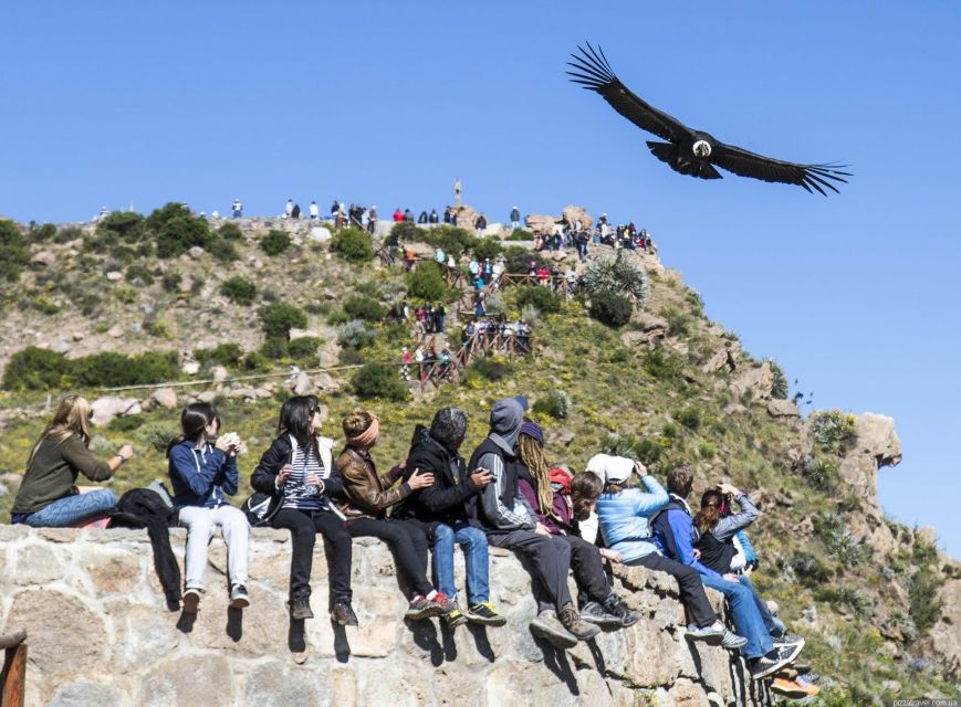 Colca Canyon: 2-Day Tour From Arequipa to Puno - Key Points