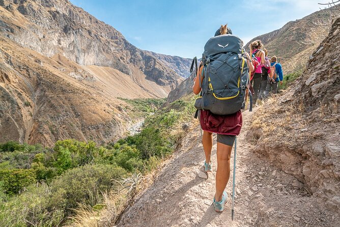 Colca Trekking 2days From Arequipa - Key Points