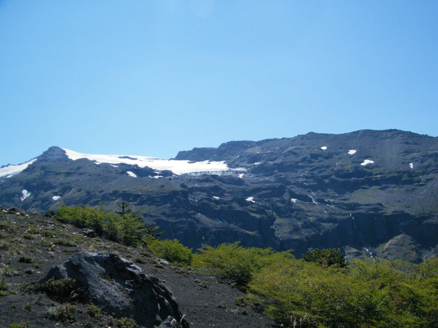 Conguillío National Park Tour - Full Day - Key Points