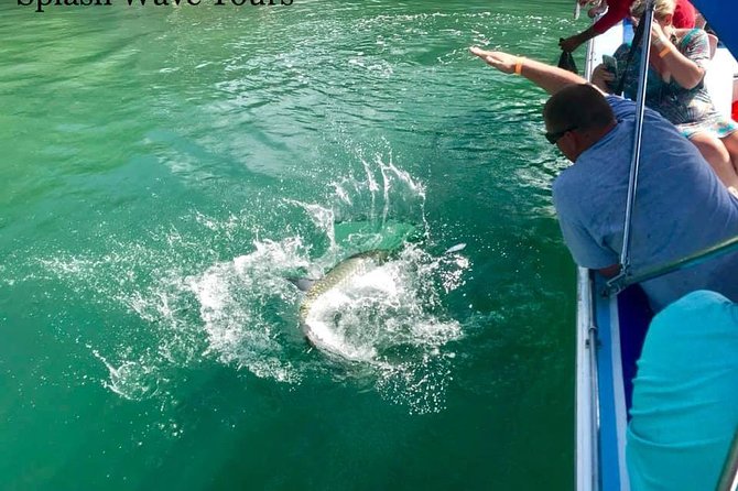 Coral Garden Shark and Sting Ray Alley Snorkeling - Itinerary Highlights