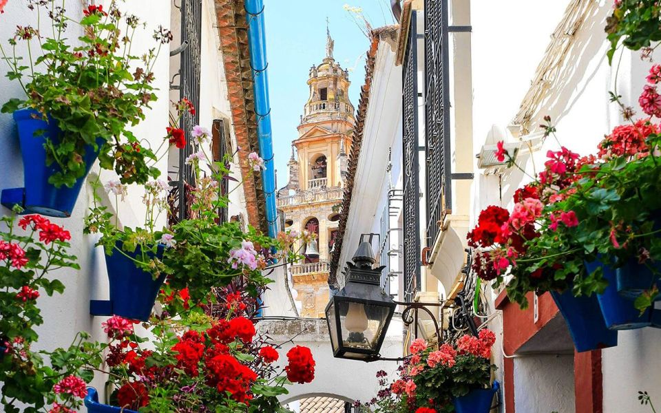 Cordoba: Mosque and Alcazar Private Tour With Tickets - Key Points