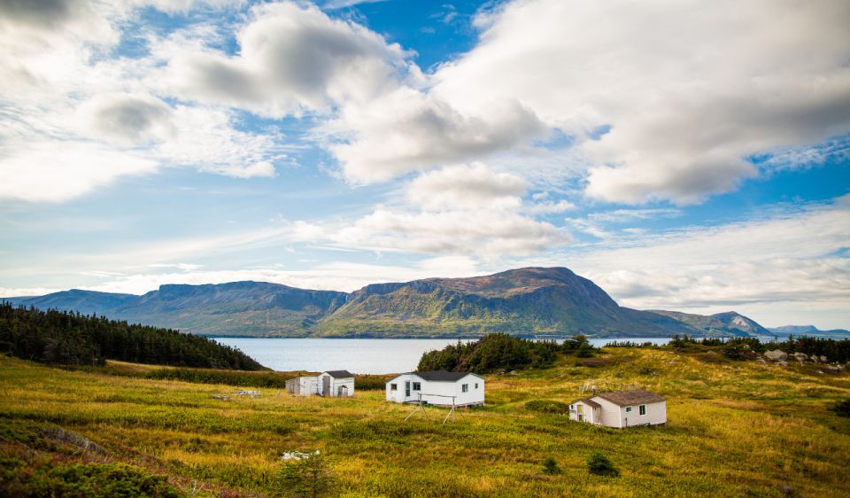 Corner Brook: Woods Island Adventure 3-Hour Zodiac Tour - Key Points