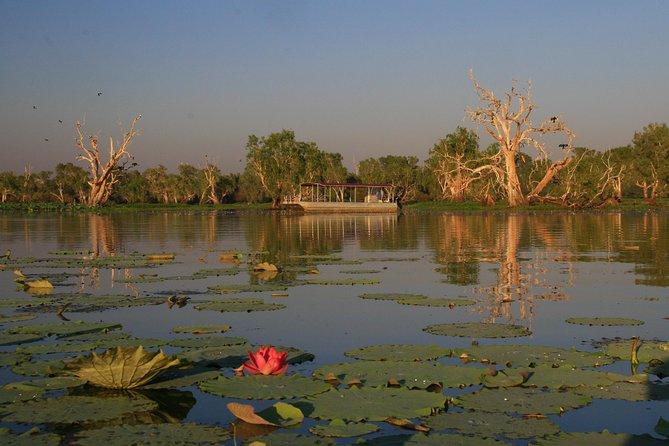 Corroboree Billabong Wetland Cruises - 2 Hour Sunset Cruise - Key Points