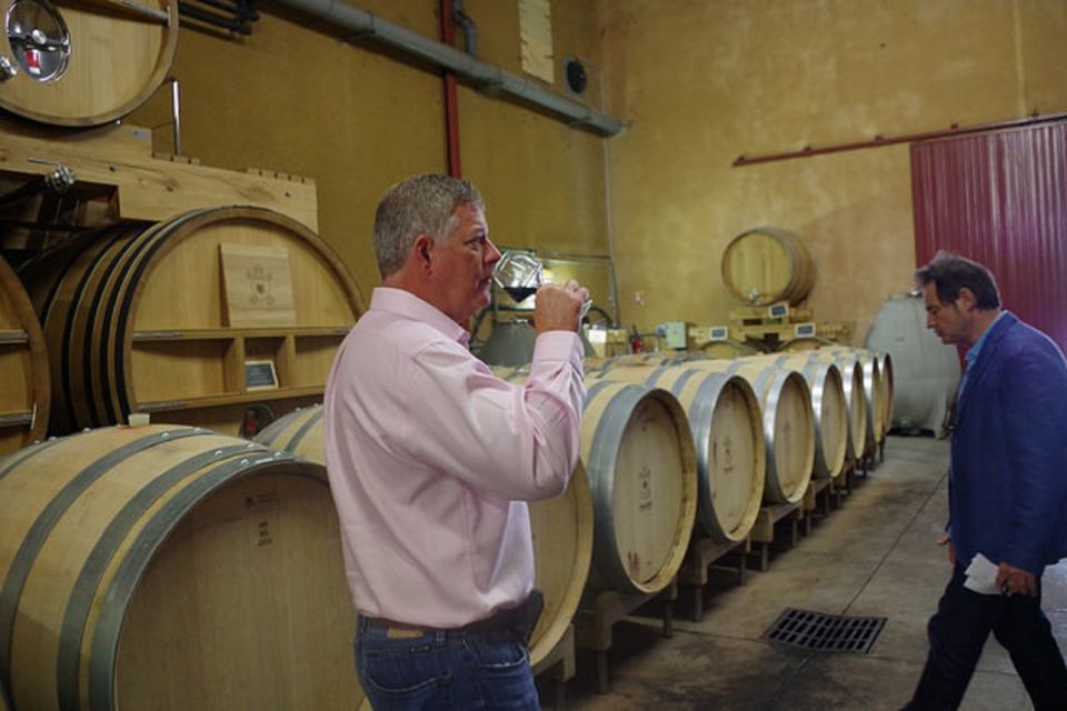 Coteaux Daix-En-Provence 8-Hour Winery Tour - Key Points