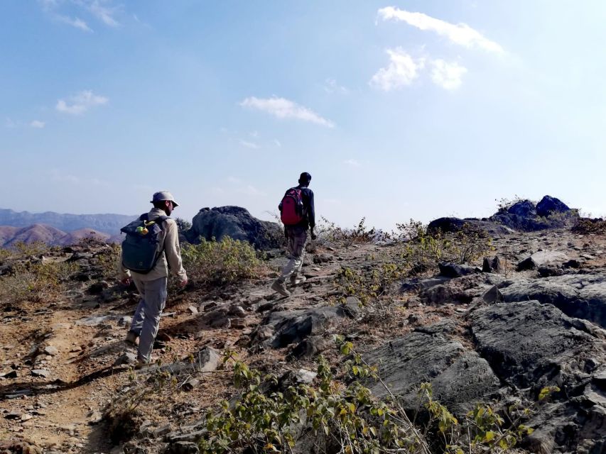 Countryside Arawali Hills Hiking Tour - Key Points