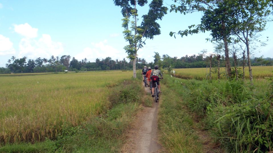 Countryside Bike Ride to Golong Village and Lingsar Temple