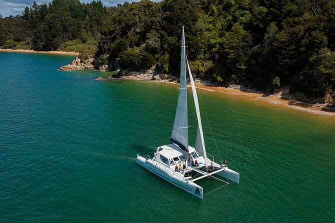 Cruise, Walk, and Sail in Abel Tasman National Park - Key Points