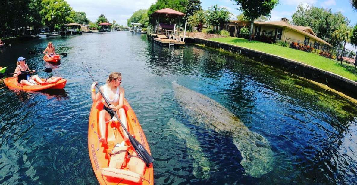 Crystal River: Kayak Rental - Key Points