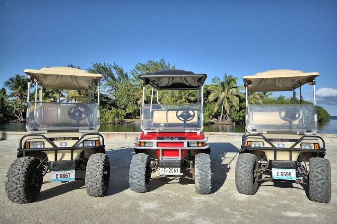 C&S 6 Seater Golf Cart Rental - Rental Details and Options