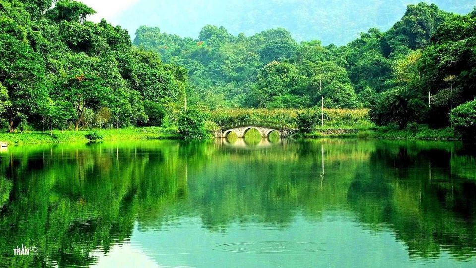Cuc Phuong Forest - The Forest Of Thousands Of Butterflies - Key Points