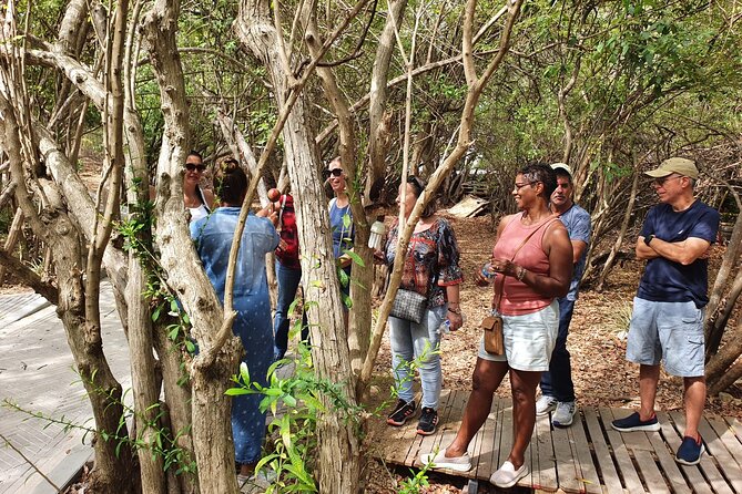Curacao Contemporary Art Tour or ART-HISTORY-NATURE TOUR - Tour Overview