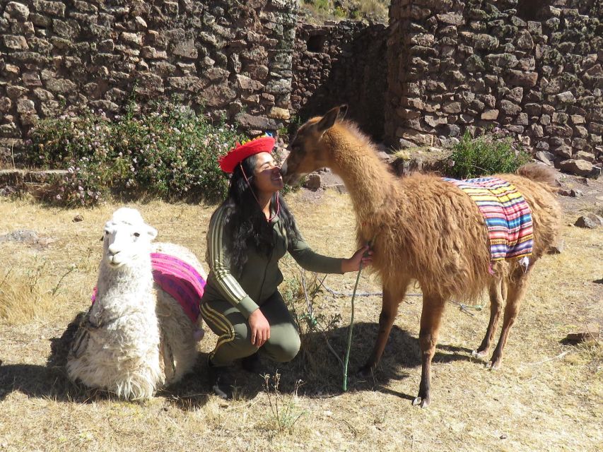 Cusco: Alcapa Therapy + Handcrafted Creativity |Private| - Key Points