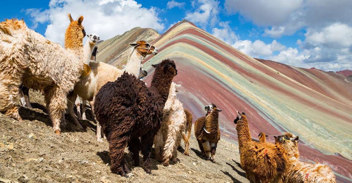 Cusco: Machu Picchu and Rainbow Mountain 5-Days Tour - Key Points