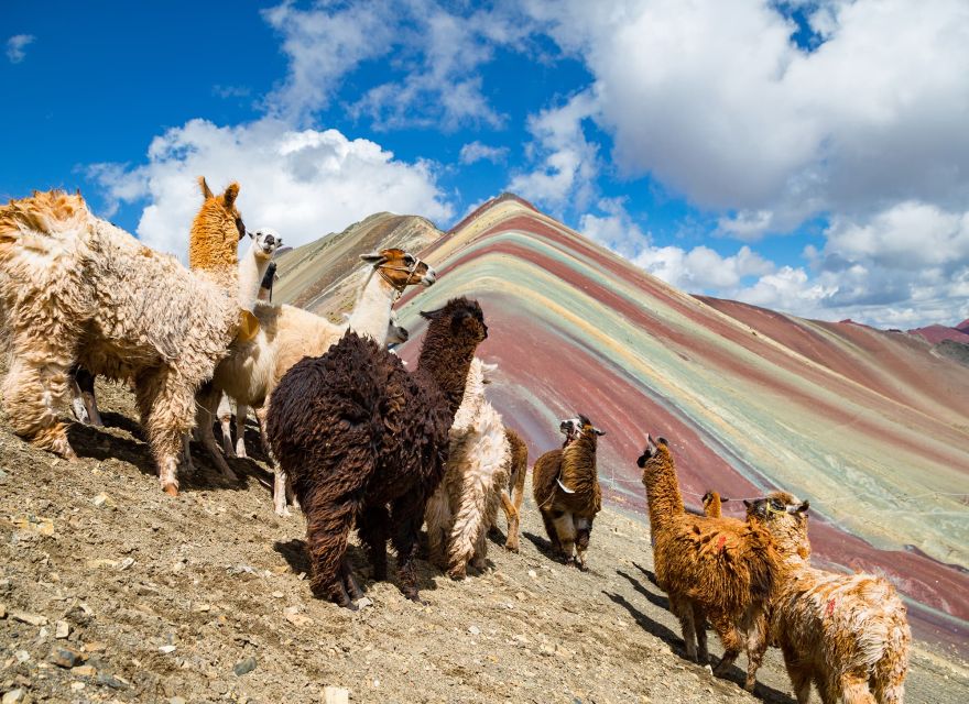 Cusco: Rainbow Mountain and Humantay Lake 2-Day Tour - Key Points