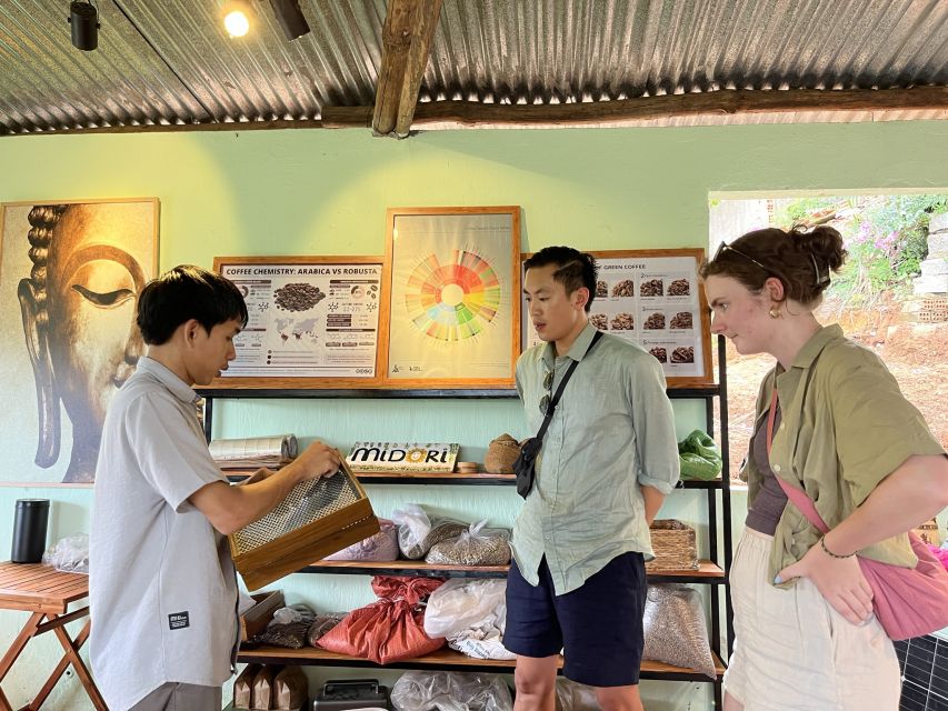 Dalat Organic Farm, Discover How to Make Specialty Coffee - Key Points