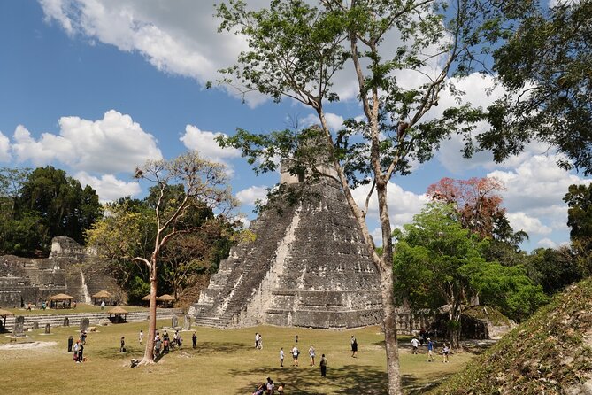 Day Trip to Tikal Maya Ruins Including Lunch - Tour Overview and Highlights
