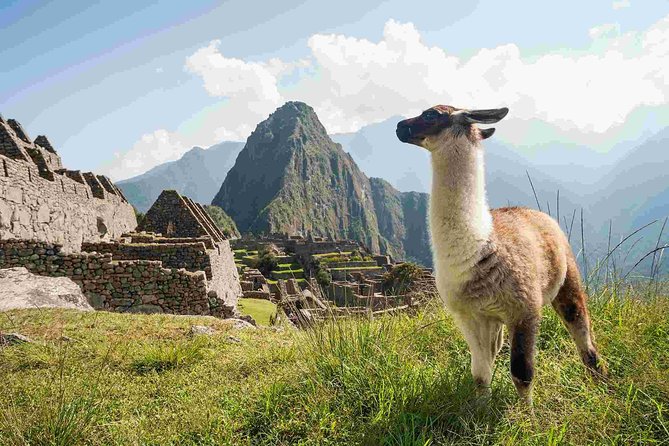 Day Trip Tour to Machu Picchu From Cusco - Tour Overview